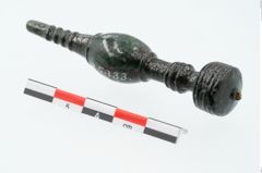 Foto von Bronzenadelspitzenschoner (NHMW-PRAE-025833)